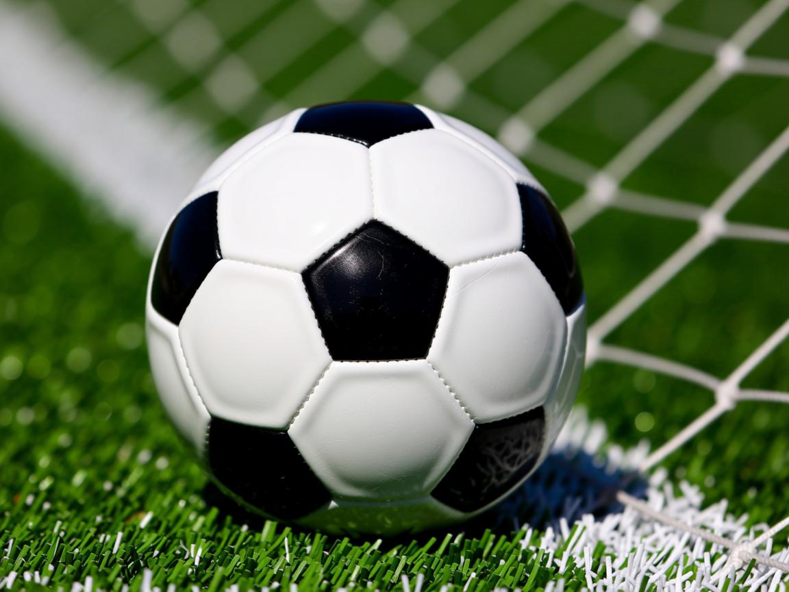 爱游戏-3D打印技术改进乒乓球拍设计，3d打印乒乓球拍底板  第3张