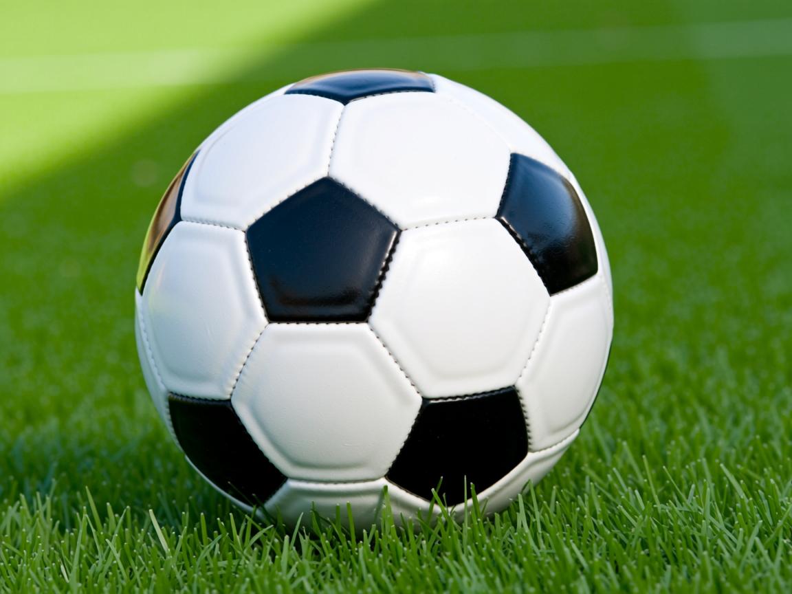 爱游戏官网充值-四国蝶泳划频对比揭示节奏差异，蝶泳四部分