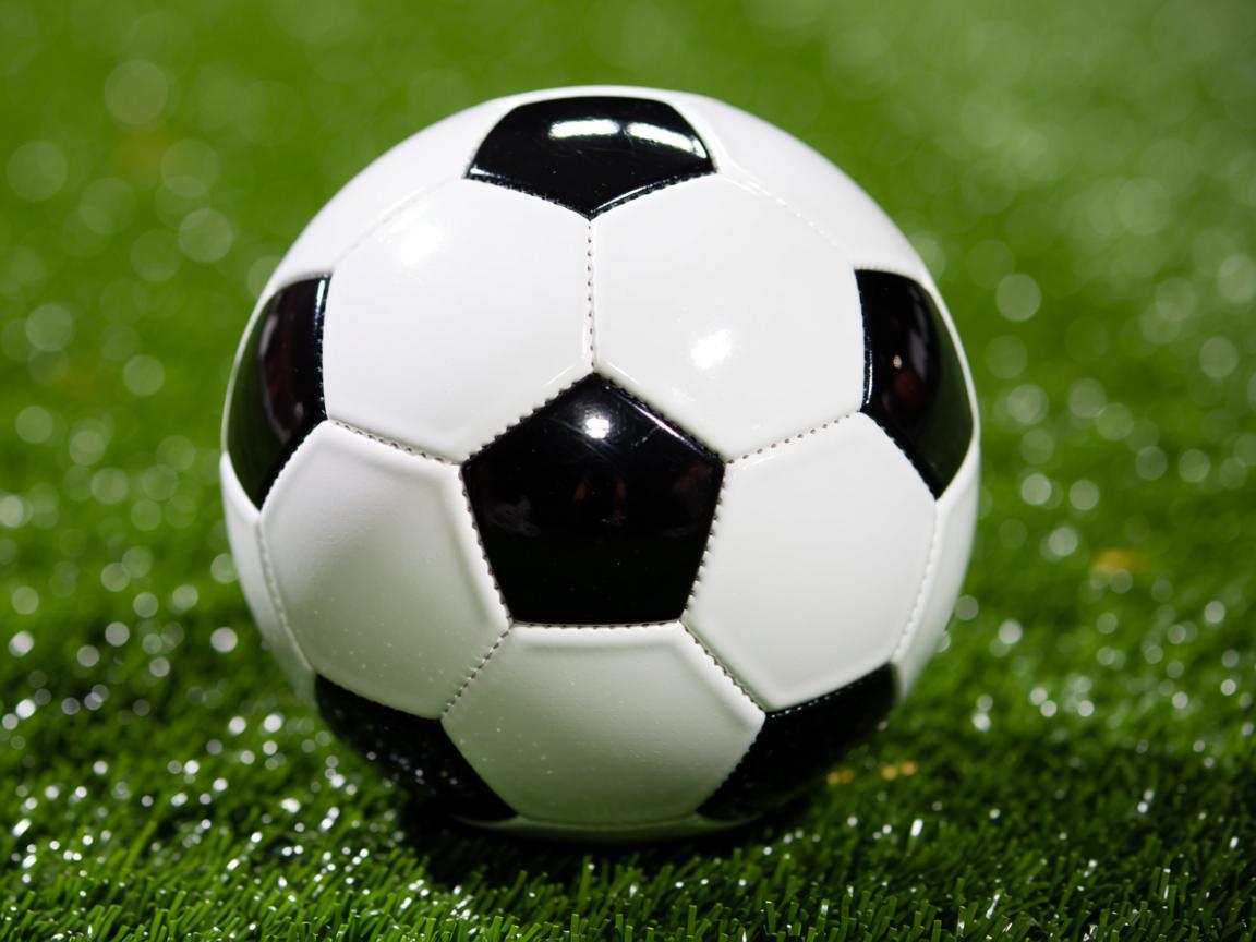 爱游戏官网充值-四国蝶泳划频对比揭示节奏差异，蝶泳四部分  第2张